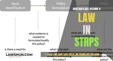 Bill to Law: Understanding the Legislative Process