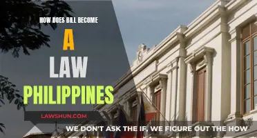 The Legislative Process: From Bill to Law in Philippines