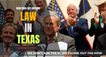 Understanding the Process: Bills to Laws in Texas