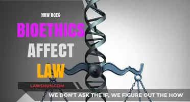 Bioethics and Law: Shaping Policies, Rights, and Moral Boundaries