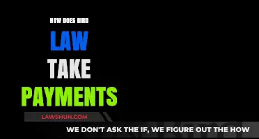 Decoding the Payment Process in the World of Bird Law