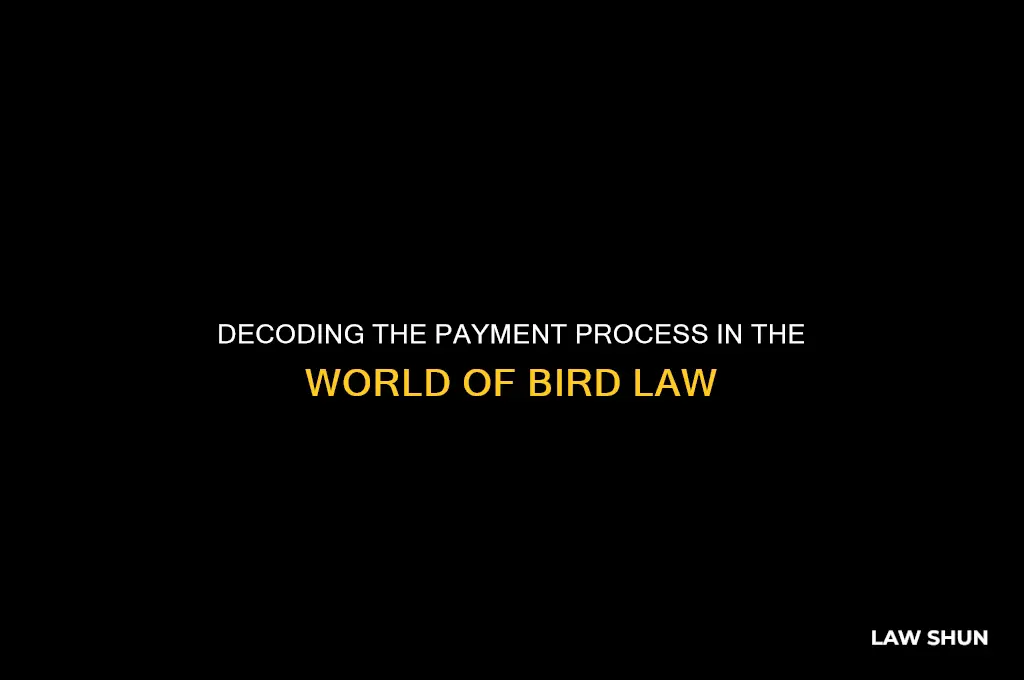 how does bird law take payments