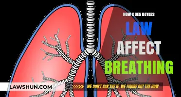 Understanding Boyle's Law: How It Influences Breathing Mechanics