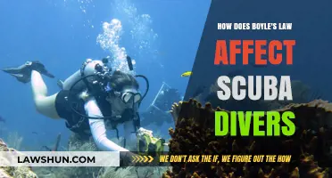 Boyle's Law: Essential Insights for Safe Scuba Diving Practices