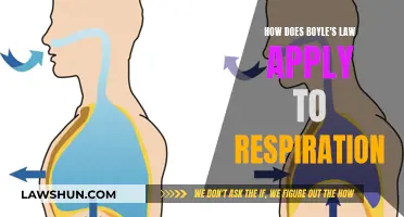 Respiration and Boyle's Law: Understanding the Connection