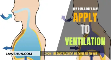 Ventilation and Boyle's Law: Understanding the Pressure Dynamics