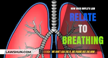 Boyle's Law and Breathing: Understanding Gas Pressure in Lungs