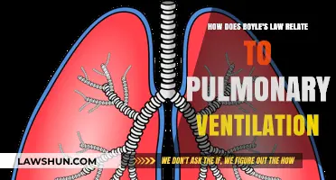 Boyle's Law and Pulmonary Ventilation: Understanding Respiratory Mechanics