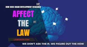Brain Development Research: Transforming Legal Approaches to Justice and Policy