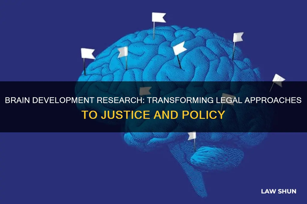 how does brain development research affect the law