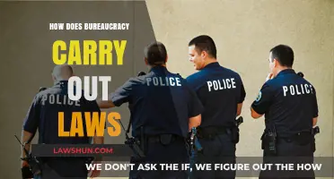 Understanding Bureaucracy's Role in Implementing and Enforcing Laws Effectively