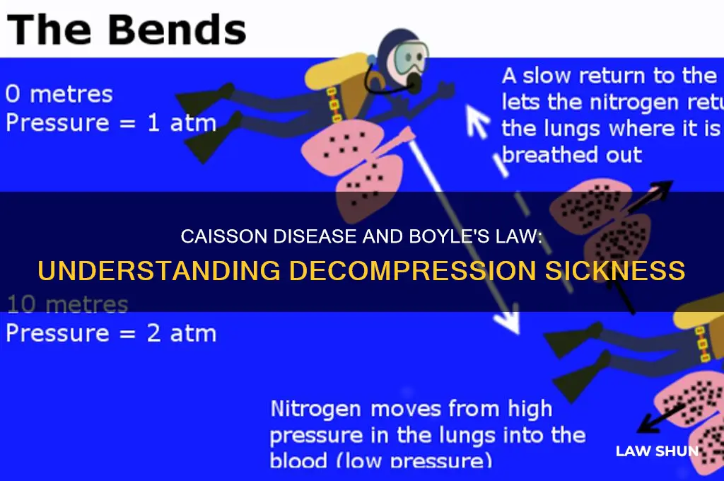 Caisson Disease And Boyle's Law Understanding Sickness — free download