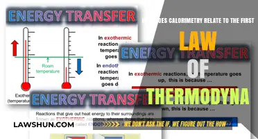 Calorimetry and the First Law: Energy Conservation in Action