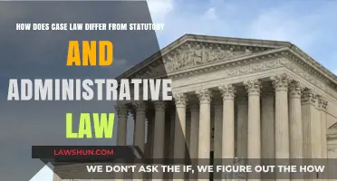 Case Law: How it Differs from Statutory and Administrative Law