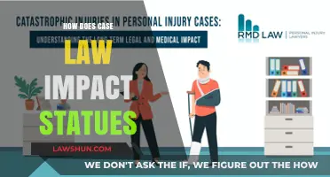 Case Law's Impact: Shaping Statutes and Society