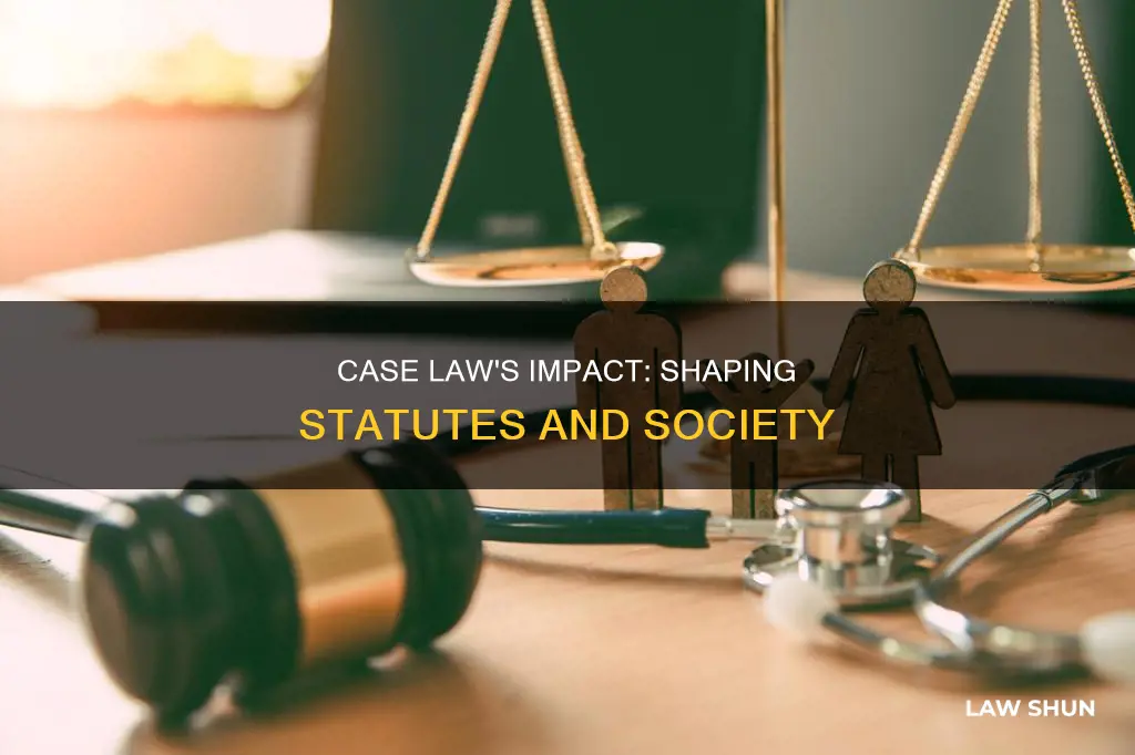 how does case law impact statues