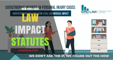 Case Law's Influence on Statutes
