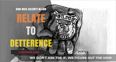 Celerity in Law: Its Role and Impact on Deterrence Strategies