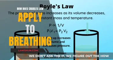 Charles' Law and the Science of Breathing