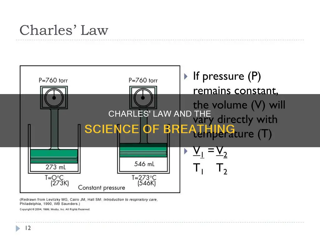 how does charles law apply to breathing