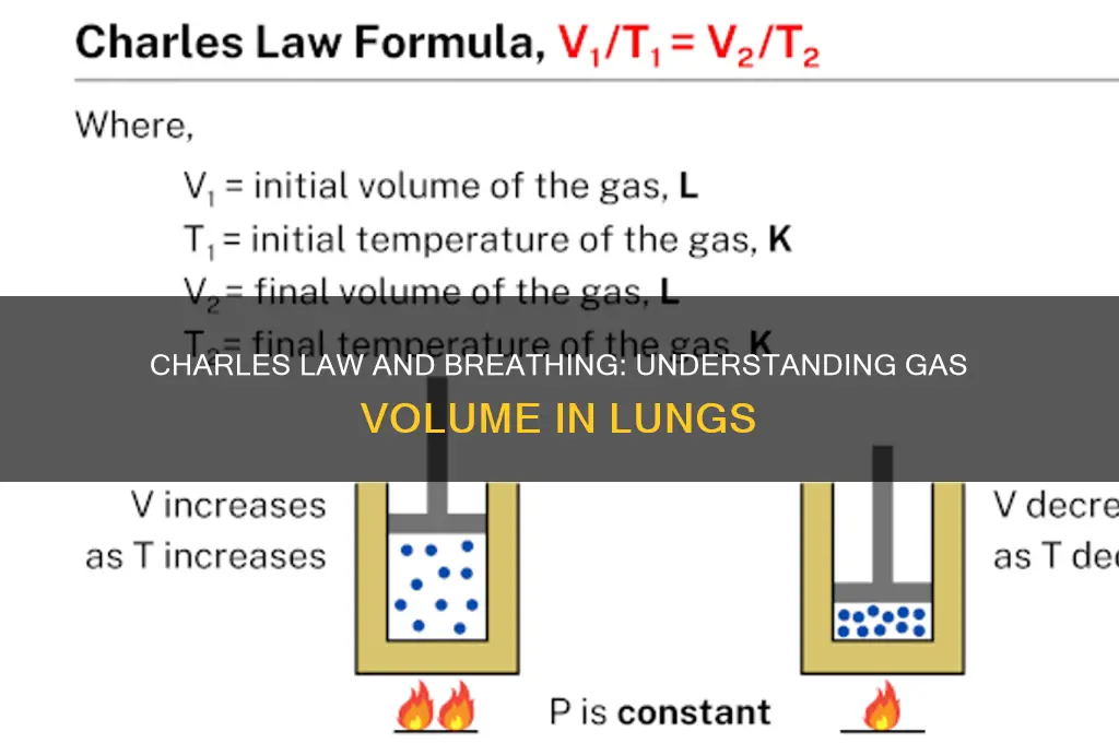 how does charles law relate to breathing