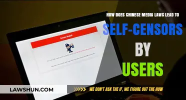 Chinese Media Laws: How Users Self-Censor in a Regulated Digital Space