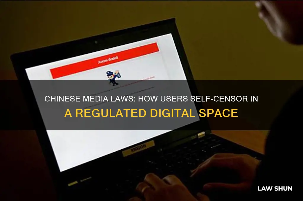 how does chinese media laws lead to self-censorship by users