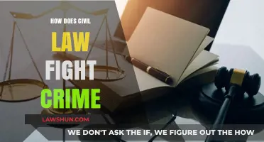 Civil Law's Role in Combating Crime: Strategies and Impact