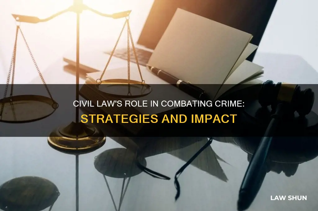 how does civil law fight crime