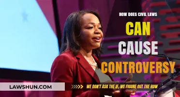 Civil Laws: Controversies and Their Causes