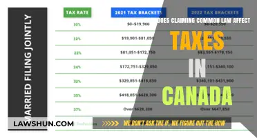 Common-Law Tax Claims: What Canadians Need to Know