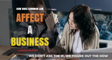 Understanding Common Law: Impact on Business Operations