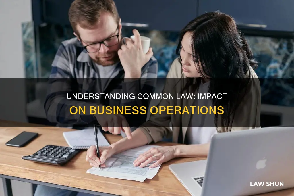 how does common law affect a business