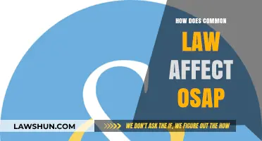 Common-Law OSAP: What You Need to Know