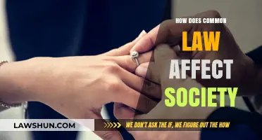 Common Law's Impact: Shaping Society's Norms and Values