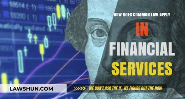Common Law's Role in Financial Services