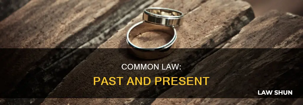 how does common law connect to the current legal issue