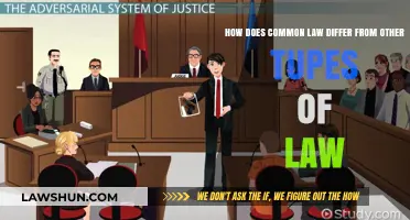 Common Law: Unique Characteristics and Differences