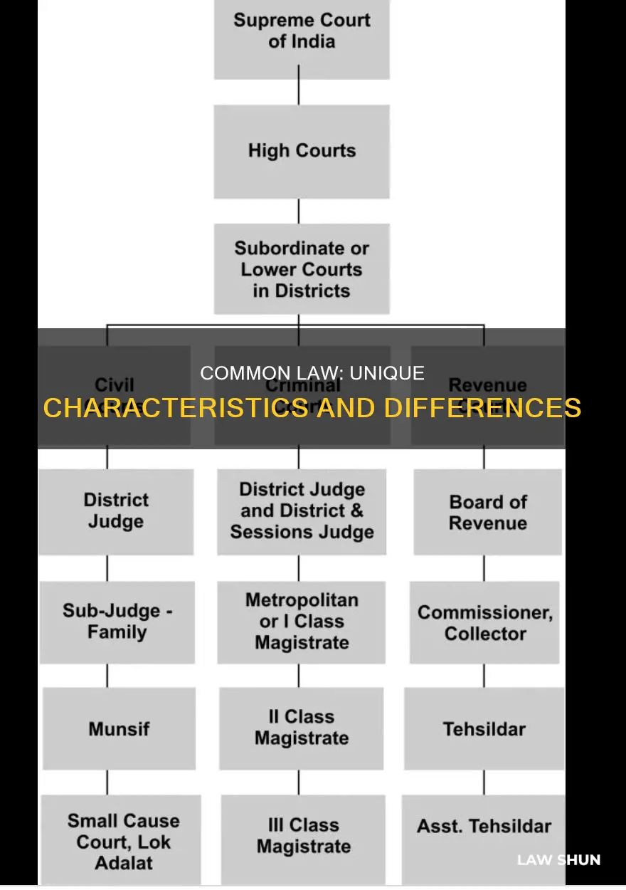 how does common law differ from other tupes of law