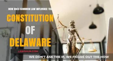 Delaware Constitution: Influence of Common Law