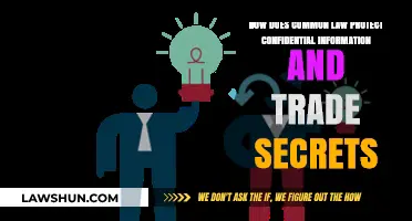 Common Law: Confidentiality and Trade Secrets Protection