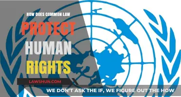 Common Law and Human Rights Protection