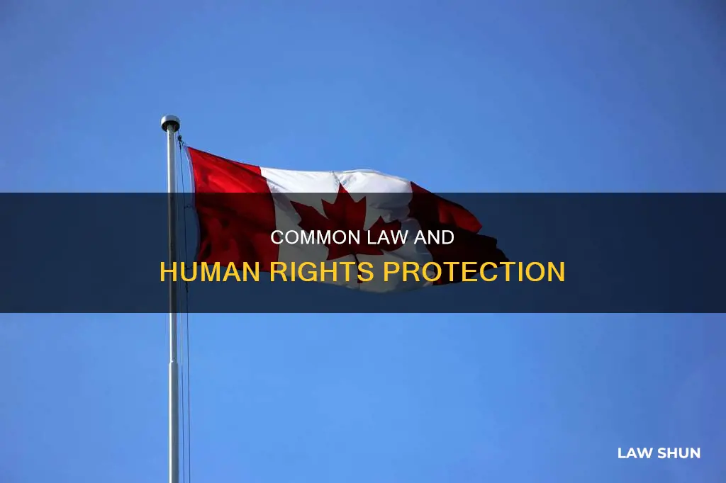 how does common law protect human rights