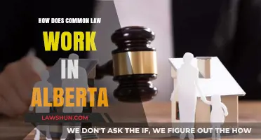 Common-Law Relationships in Alberta: How Do They Work?