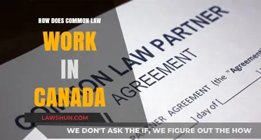 Common Law in Canada: How Does It Work?