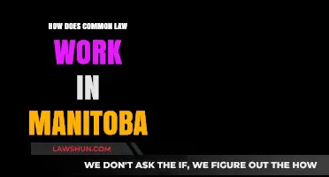 Common Law in Manitoba: Understanding the Basics