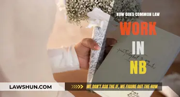 Common-Law Relationships in New Brunswick Explained