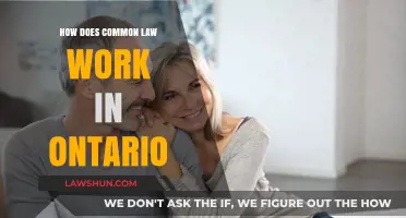Understanding Common Law in Ontario: Rights and Recognition