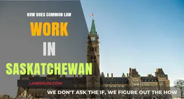 Common-Law Relationships in Saskatchewan: Understanding the Law