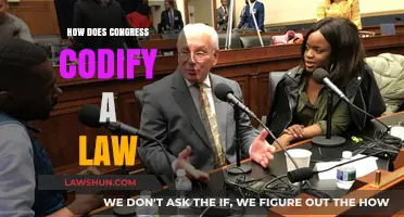 Decoding the Legislative Process: How Congress Codifies a Law